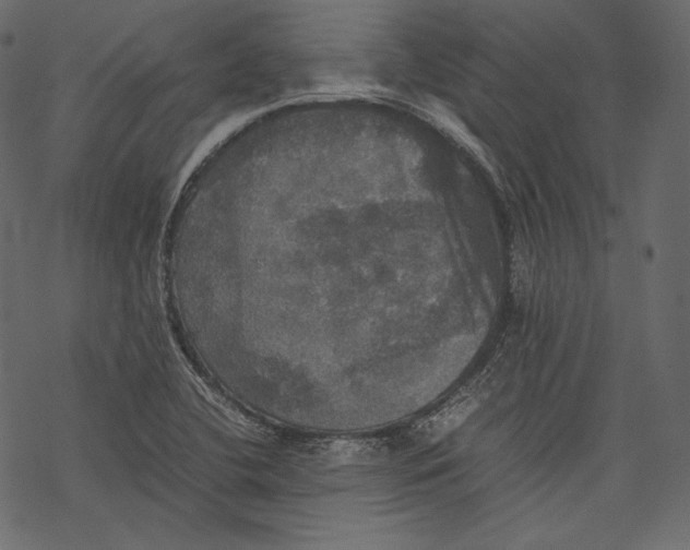 X0000067891412200605041541