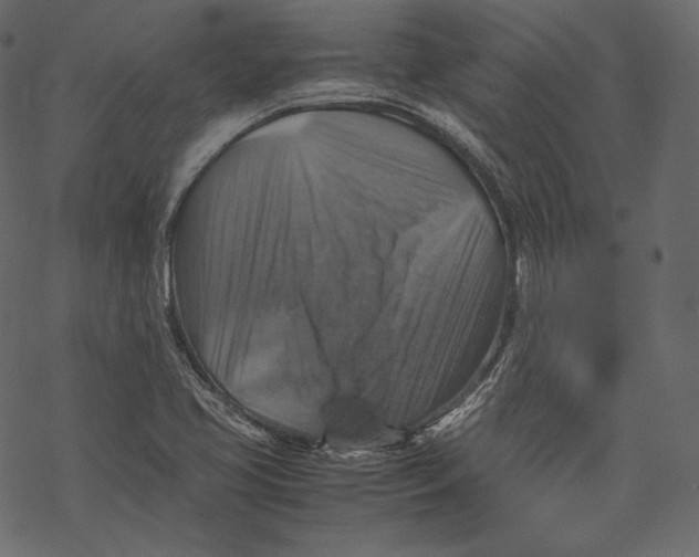 X0000067891413200605041541