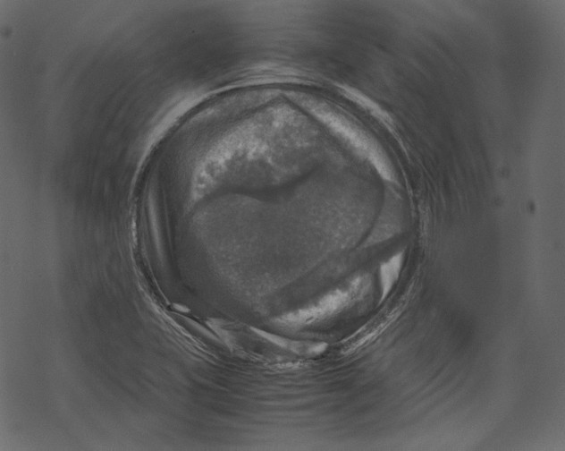 X0000067891415200605041541