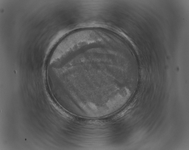 X0000067891416200605041541