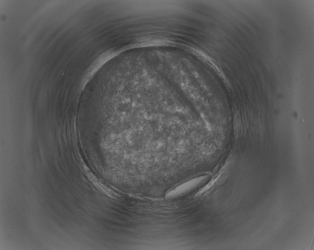 X0000067891417200605041541