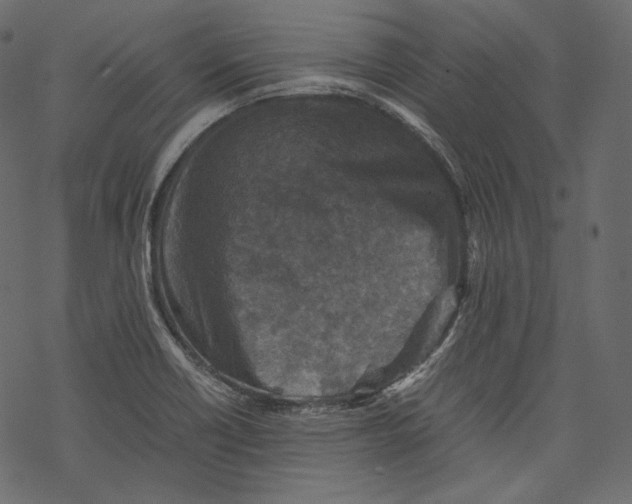 X0000067891418200605041541