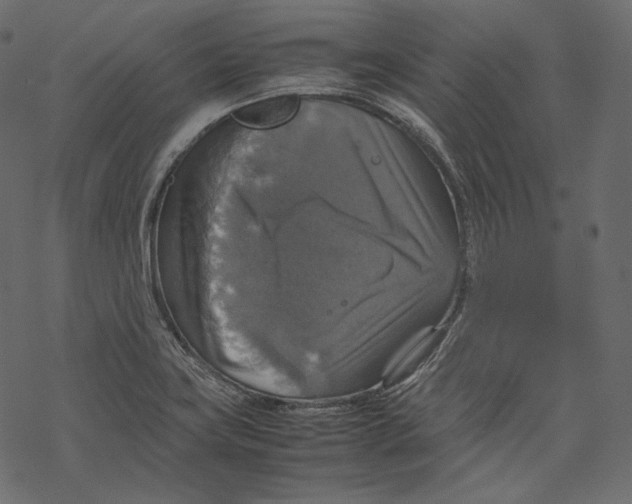 X0000067891419200605041541