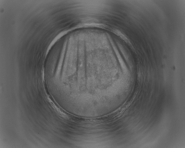 X0000067891420200605041541