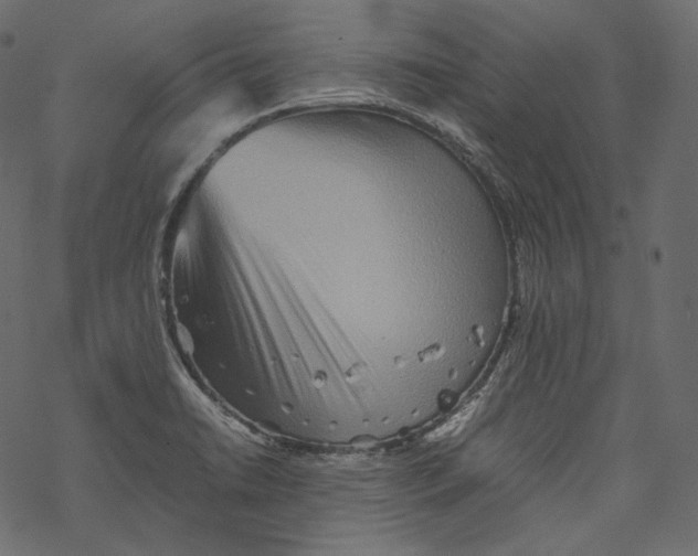 X0000067891422200605041541