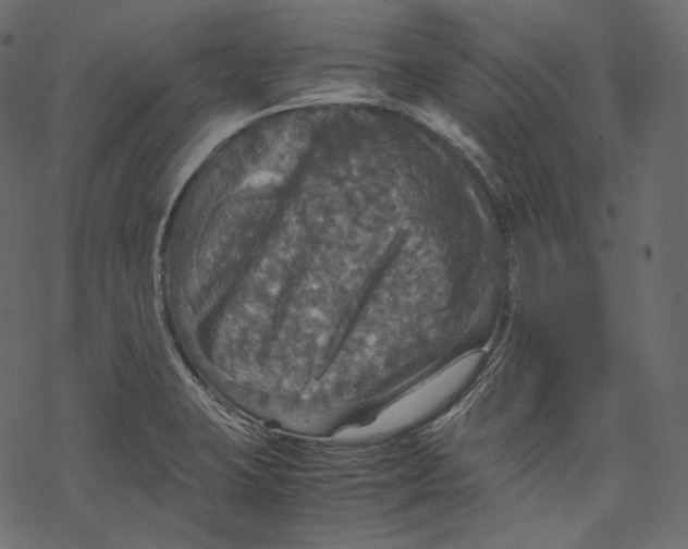 X0000067891423200605041541