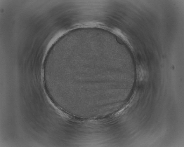 X0000067891424200605041541