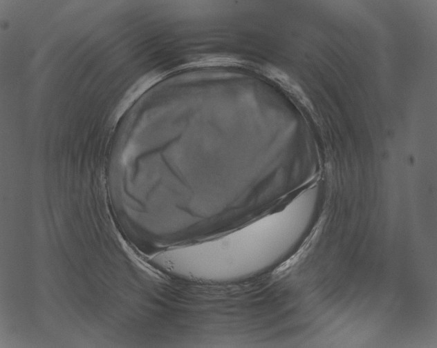 X0000067891425200605041541