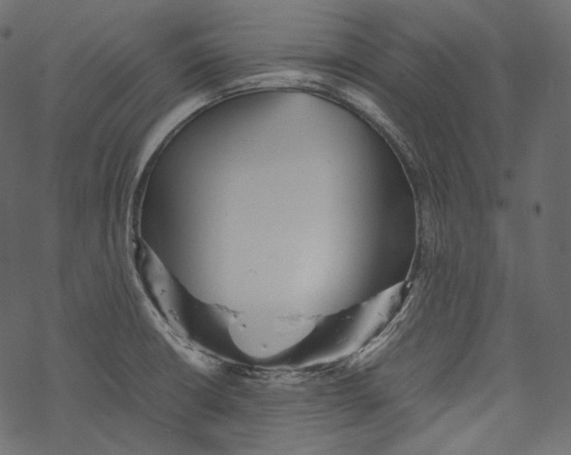 X0000067891426200605041541