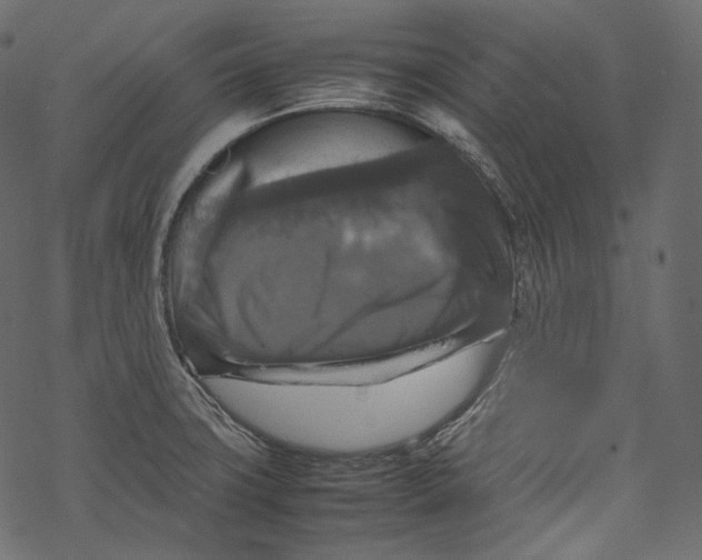 X0000067891427200605041541