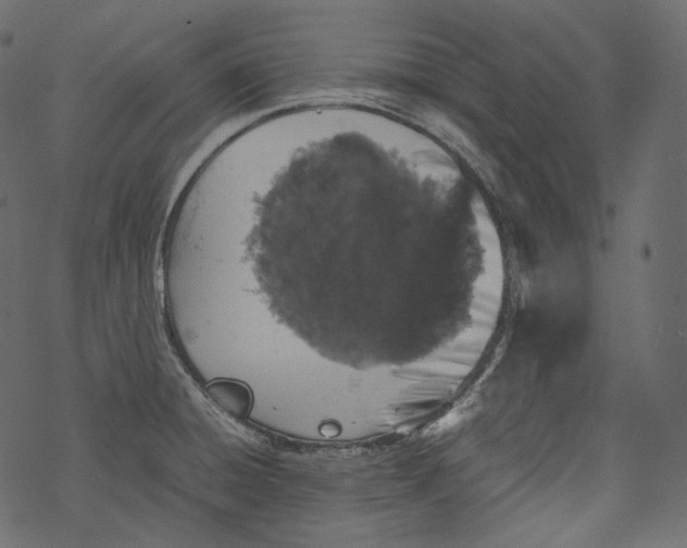 X0000067891428200605041541