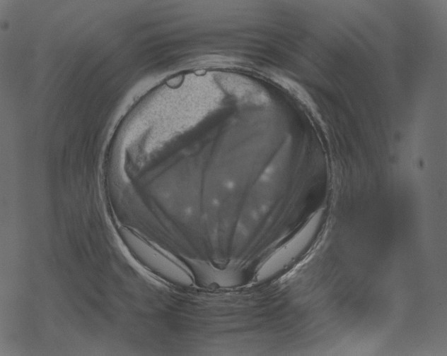 X0000067891429200605041541