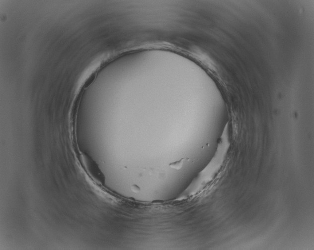 X0000067891430200605041541