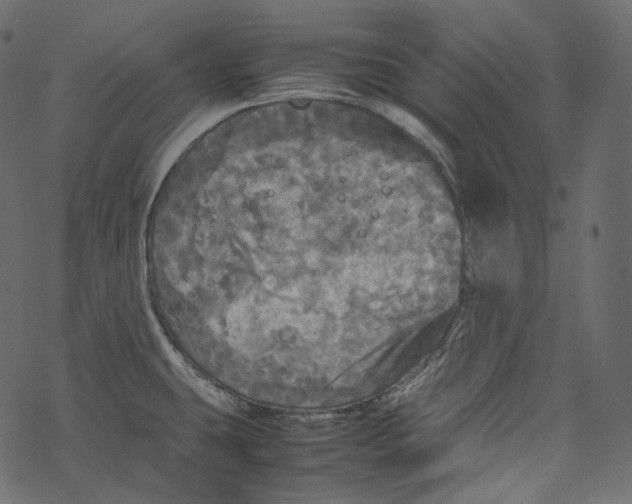 X0000067891431200605041541