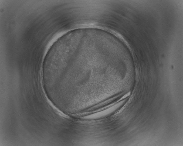 X0000067891432200605041541