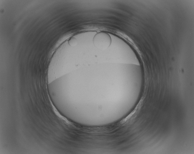 X0000067891433200605041541