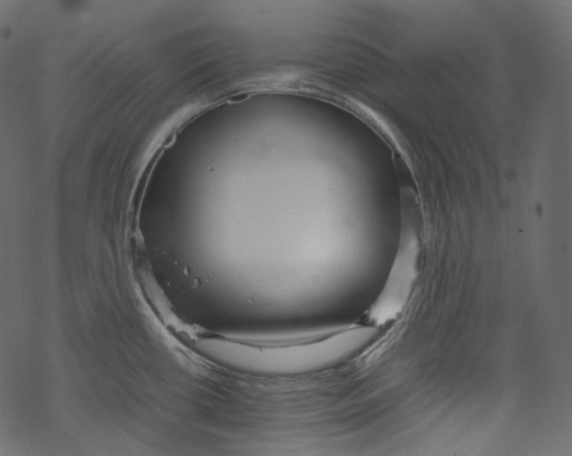 X0000067891434200605041541