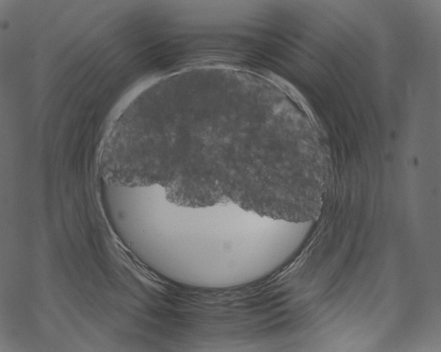 X0000067891435200605041541