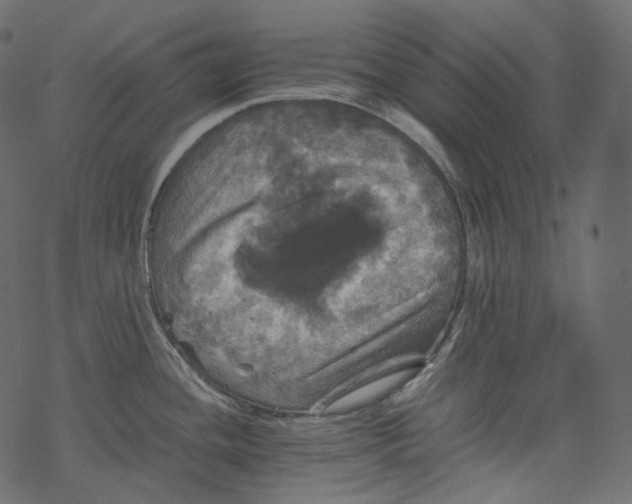 X0000067891436200605041541