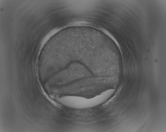 X0000067891437200605041541