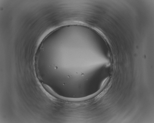 X0000067891438200605041541