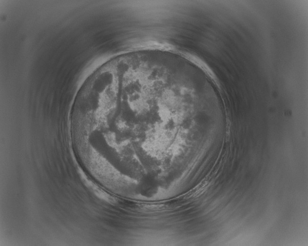 X0000067891439200605041541