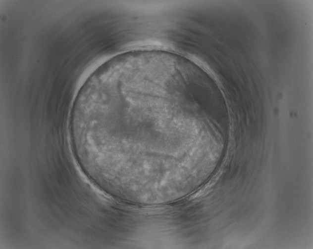 X0000067891440200605041541