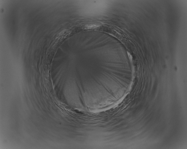 X0000067891441200605041540