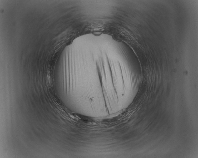 X0000067891442200605041540