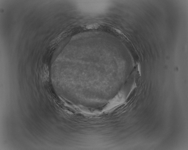 X0000067891443200605041540