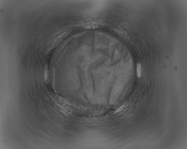 X0000067891444200605041540