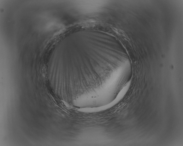 X0000067891445200605041540