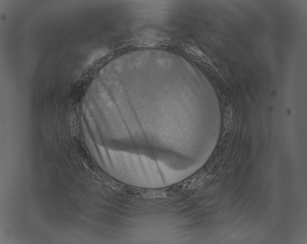 X0000067891446200605041540