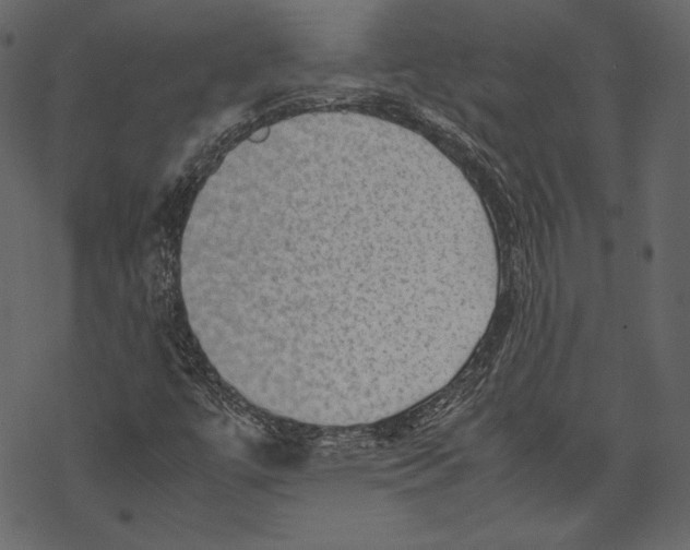 X0000067891447200605041540