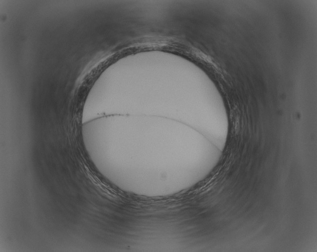 X0000067891448200605041540