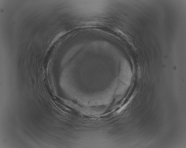 X0000067891449200605041540