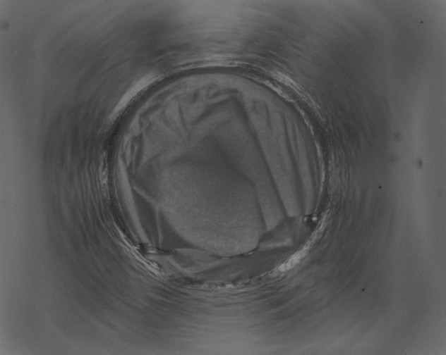 X0000067891450200605041540