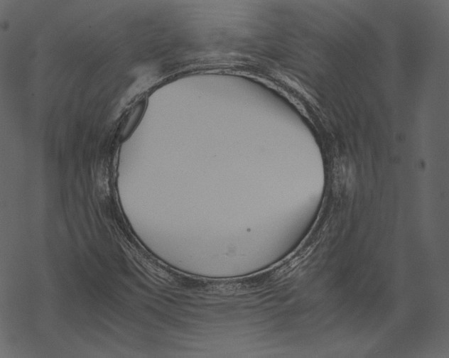 X0000067891451200605041540