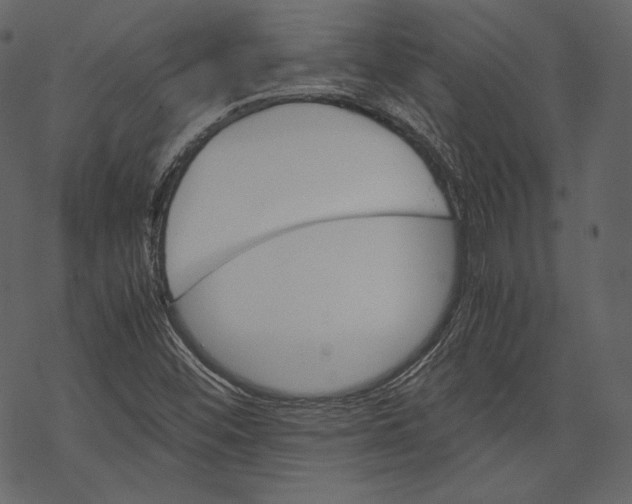 X0000067891452200605041540