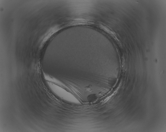 X0000067891453200605041540