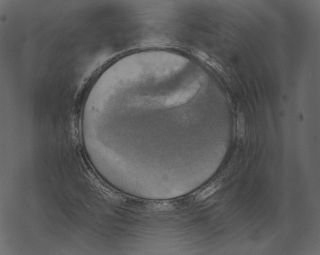 X0000067891454200605041540