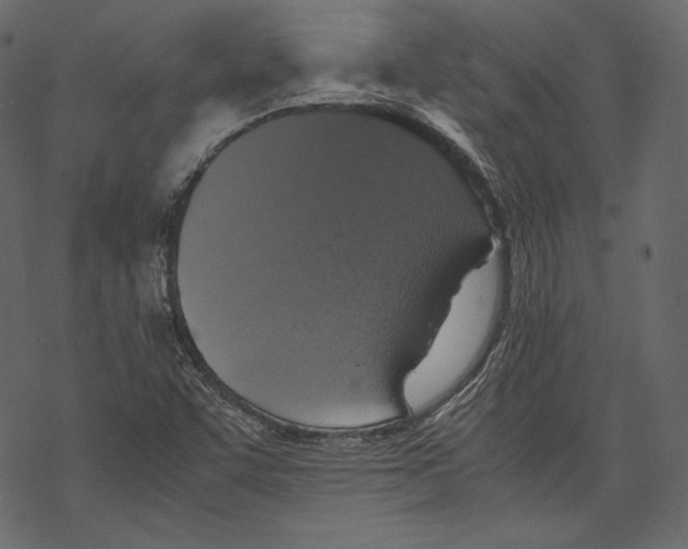 X0000067891455200605041540