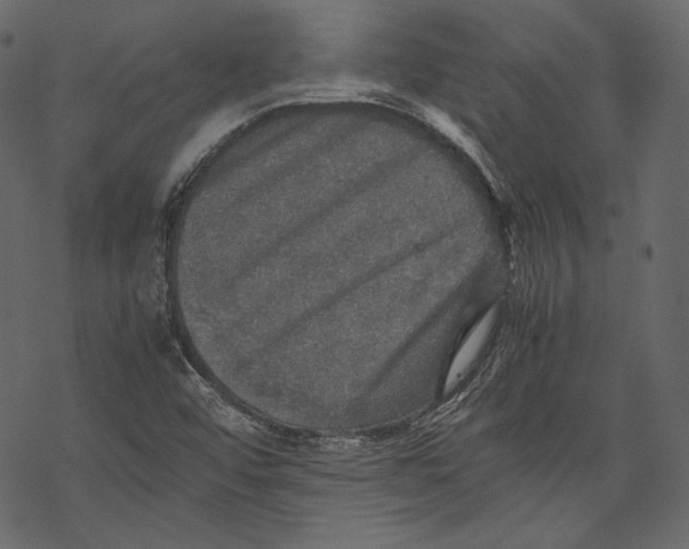 X0000067891456200605041540