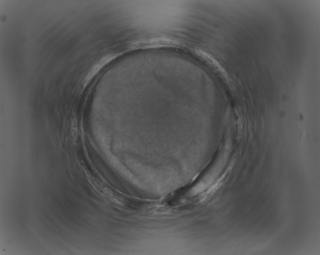 X0000067891457200605041540