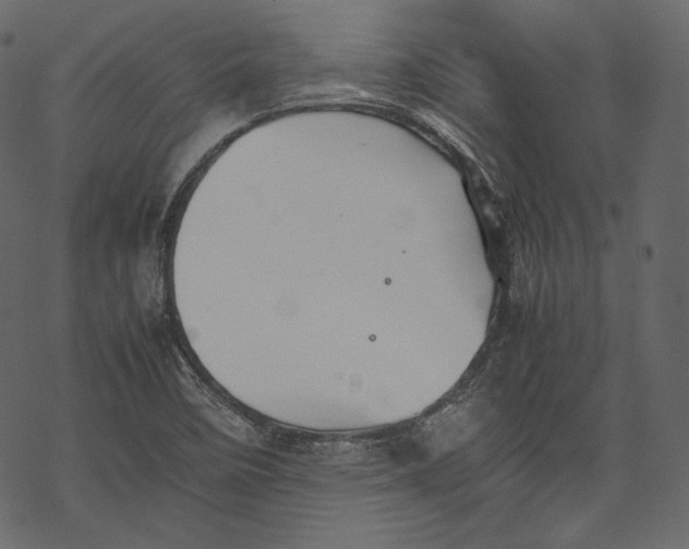 X0000067891458200605041540