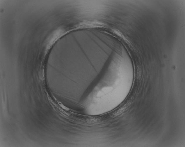 X0000067891459200605041540