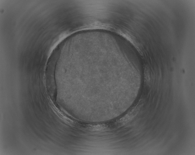 X0000067891460200605041540