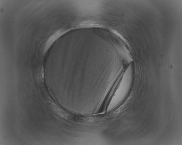 X0000067891461200605041540