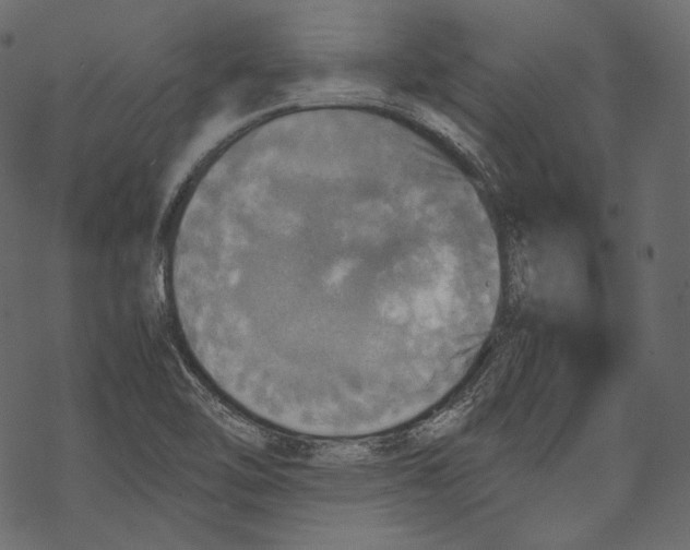 X0000067891462200605041540