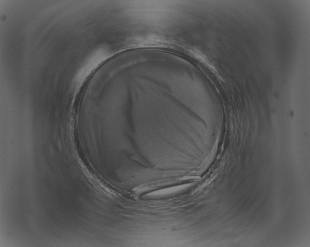 X0000067891463200605041540